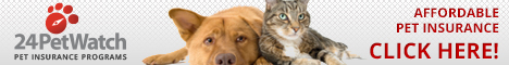Protect your pet. ShelterCare Pet Insurance Programs